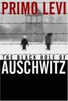 The Black Hole of Auschwitz