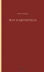 Wat is metafysica?