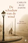 De schaduw van de wind