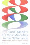 Social mobility of ethnic minorities in the Netherlands